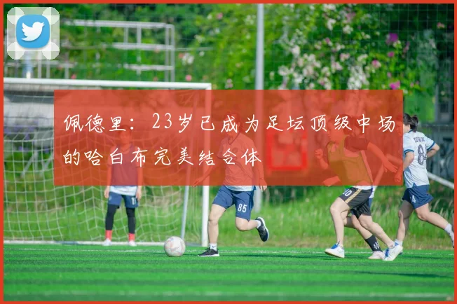 佩德里：23岁已成为足坛顶级中场的哈白布完美结合体