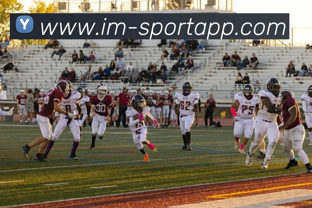 多媒体互动体验