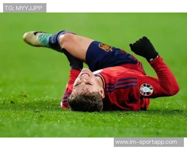 国米旧将范赫斯登因膝盖韧带重伤宣布退役年仅26岁