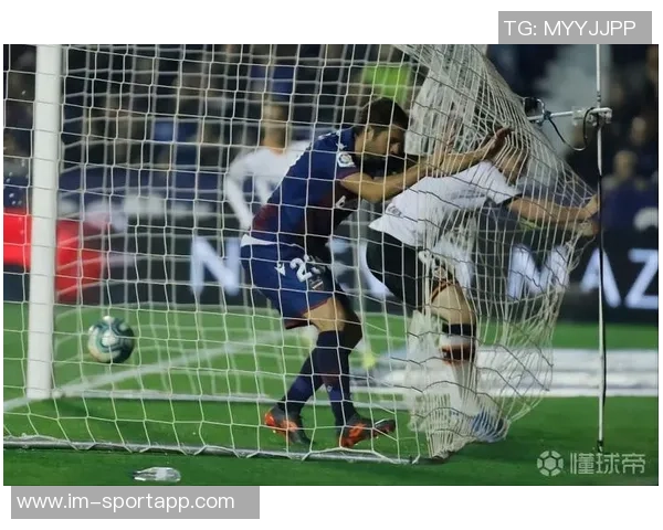 费尔明独特比喻展现队友风采特狮领袖卡萨多比特犬亚马尔最佳